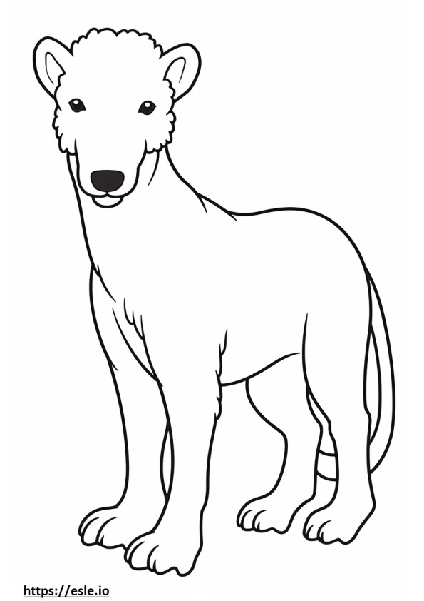 Bedlington Terrier fofo para colorir