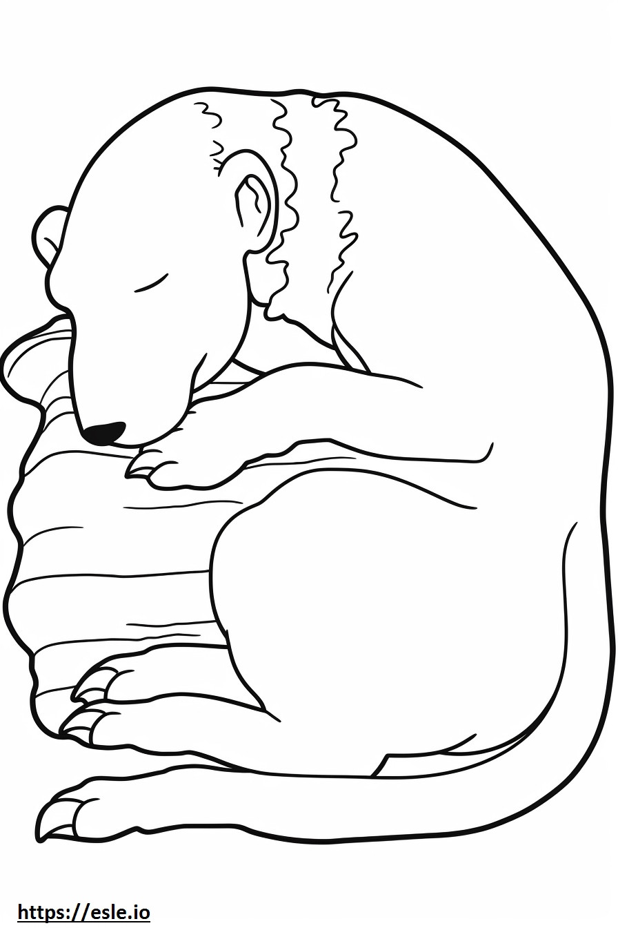 Coloriage Bedlington Terrier dormir à imprimer