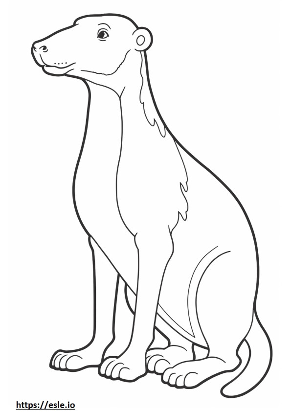 Bedlington Terrier che gioca da colorare