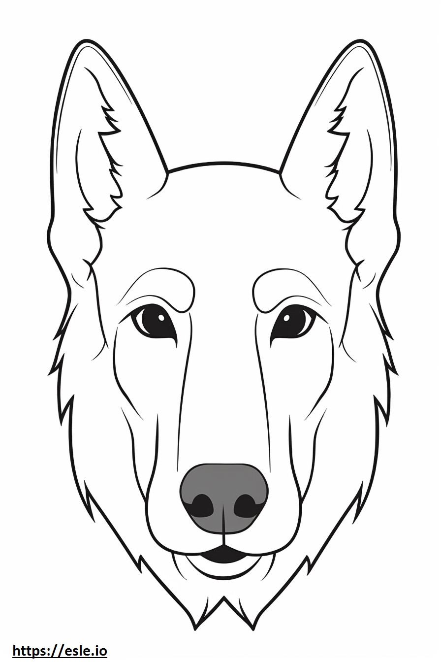 Gesicht des Belgischen Schäferhundes ausmalbild