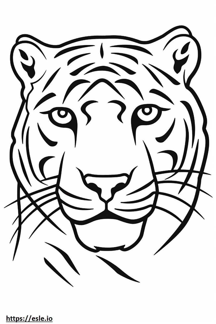 Cara de tigre de bengala para colorir