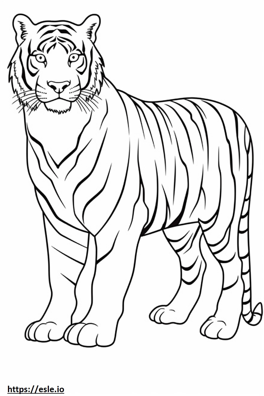 Bengaalse tijger, volledig lichaam kleurplaat kleurplaat