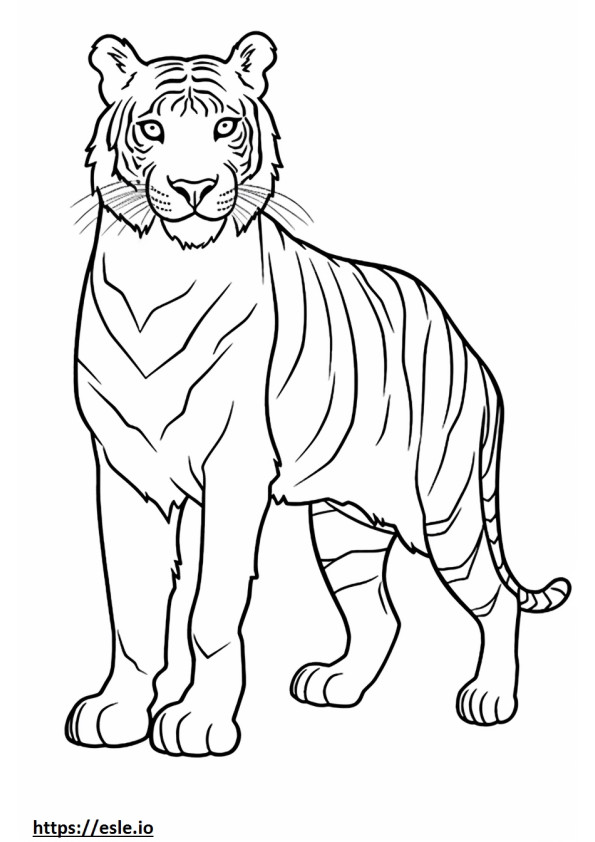 Coloriage Tigre du Bengale corps entier à imprimer