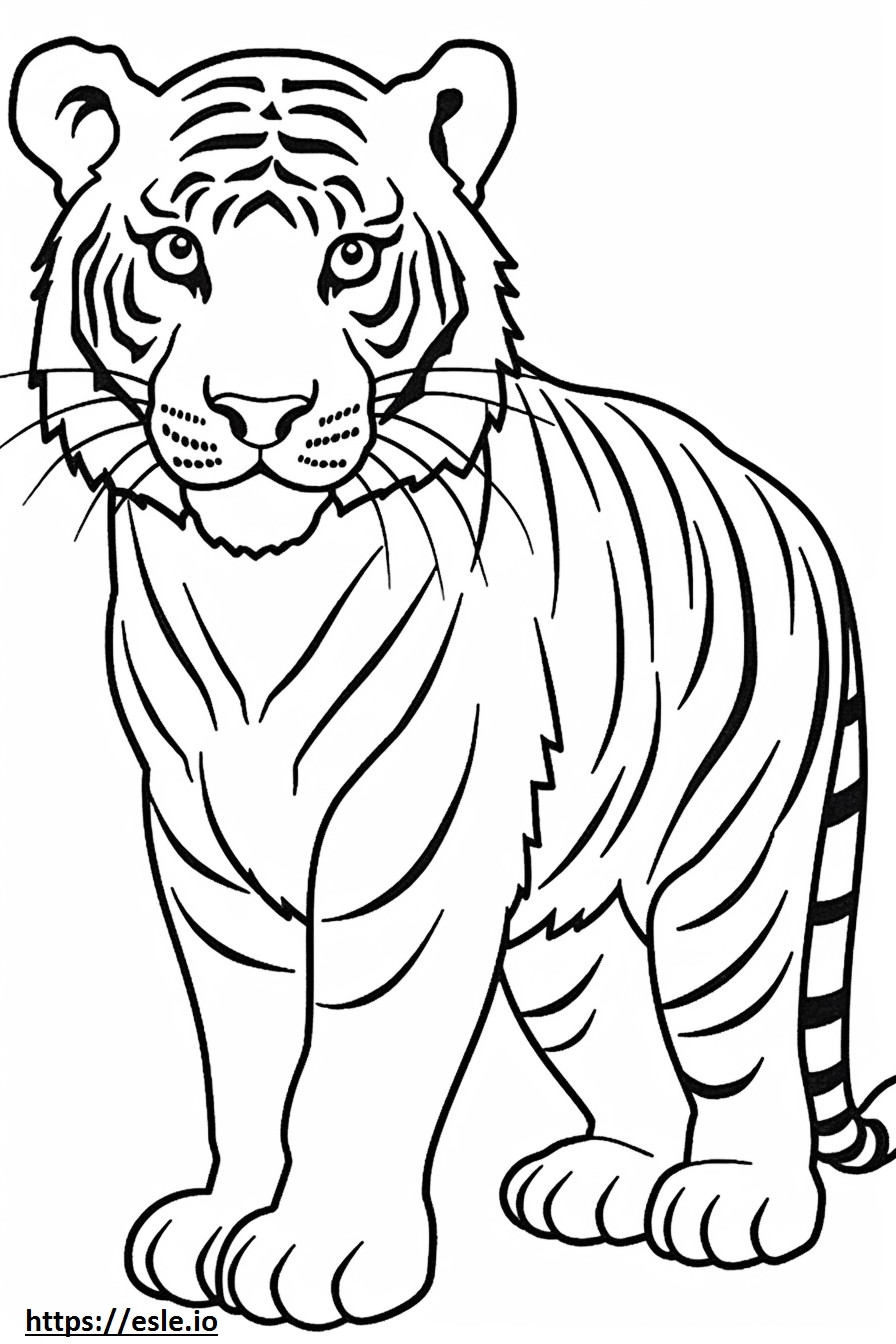 pui de tigru bengal de colorat