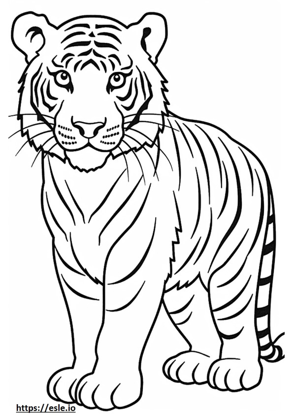 Bengalisches Tigerbaby ausmalbild