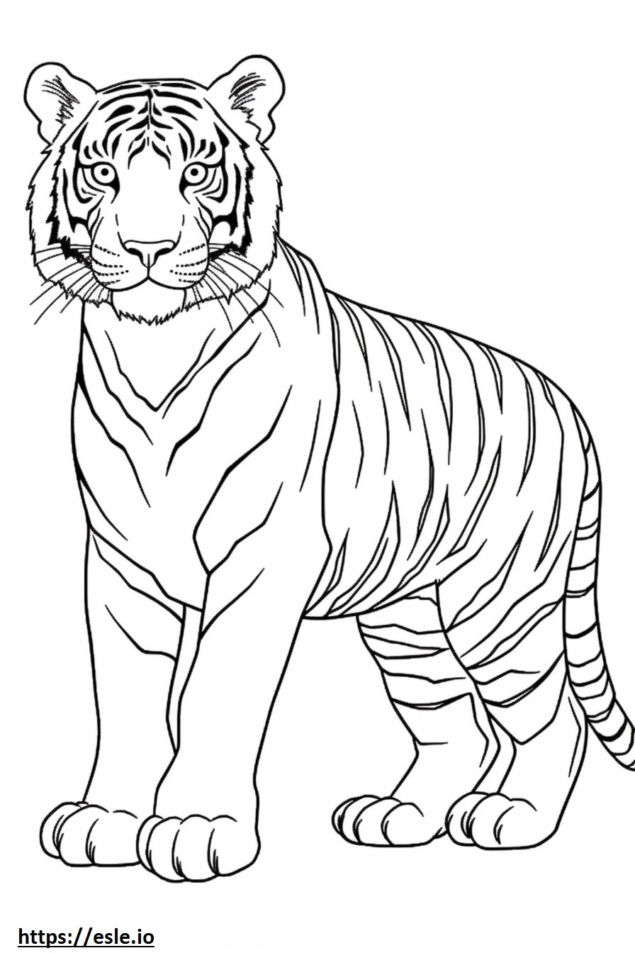 Bengal Tiger baby coloring page