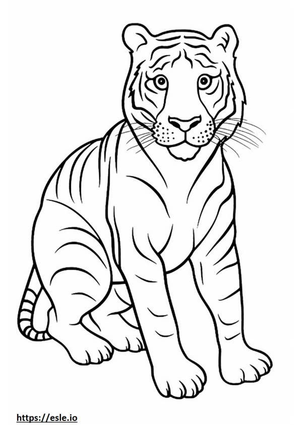 Coloriage Bébé tigre du Bengale à imprimer