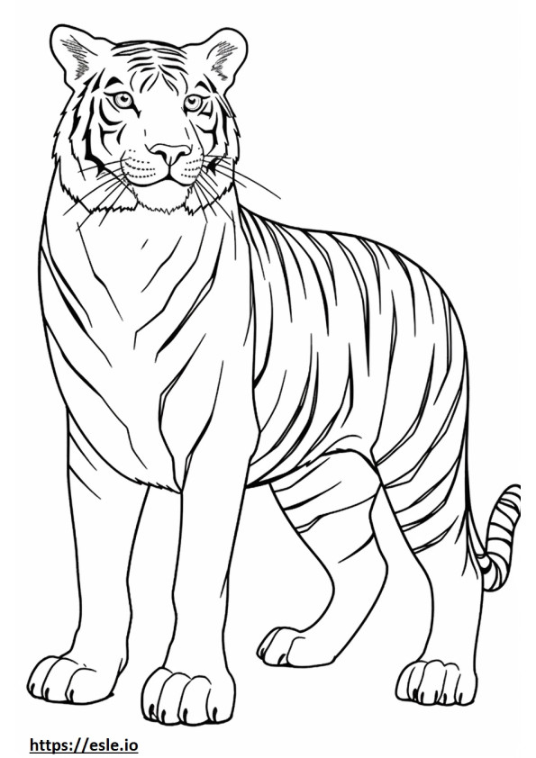 Bengalischer Tiger-Cartoon ausmalbild