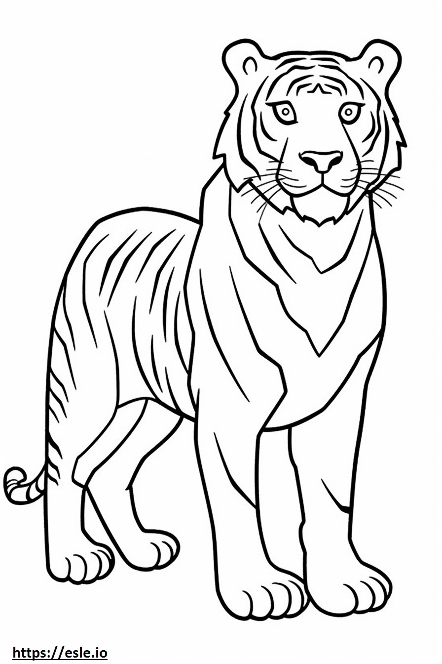 Dibujos animados de tigre de bengala para colorear e imprimir