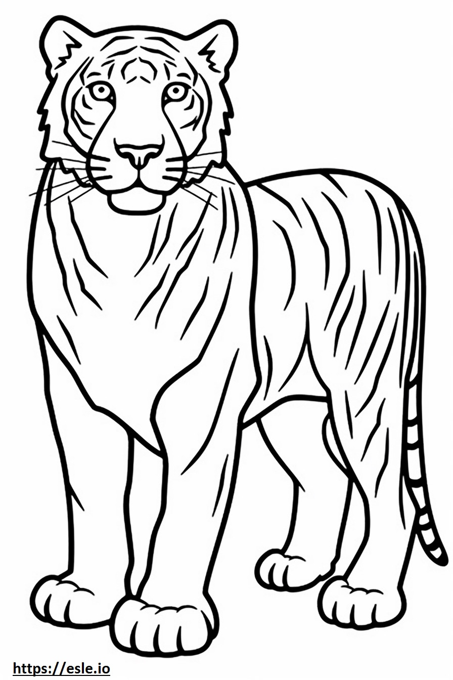 Kreskówka Tygrys Bengalski kolorowanka