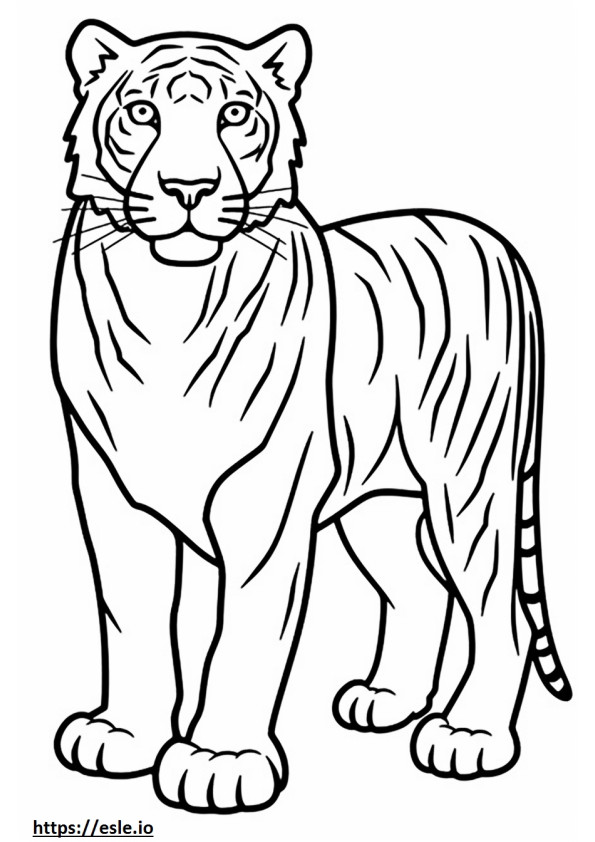 Bengáli tigris rajzfilm szinező