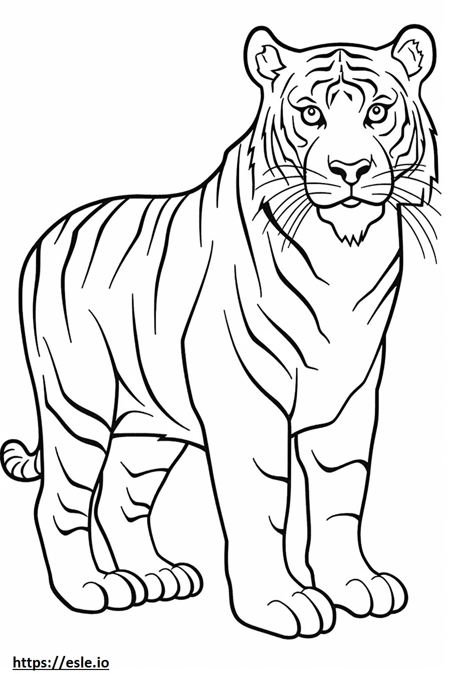 Desenho animado do Tigre de Bengala para colorir