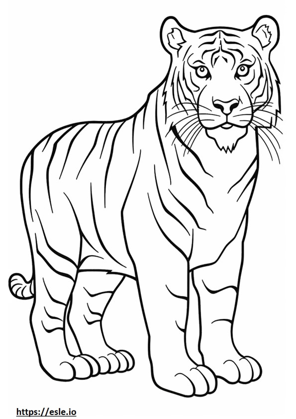 Coloriage Caricature de tigre du Bengale à imprimer