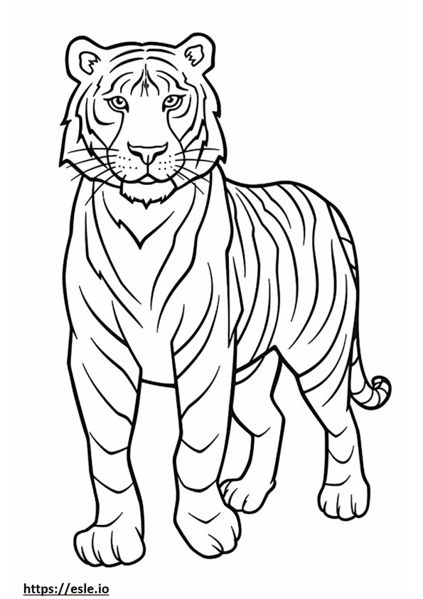 Tygrys bengalski szczęśliwy kolorowanka