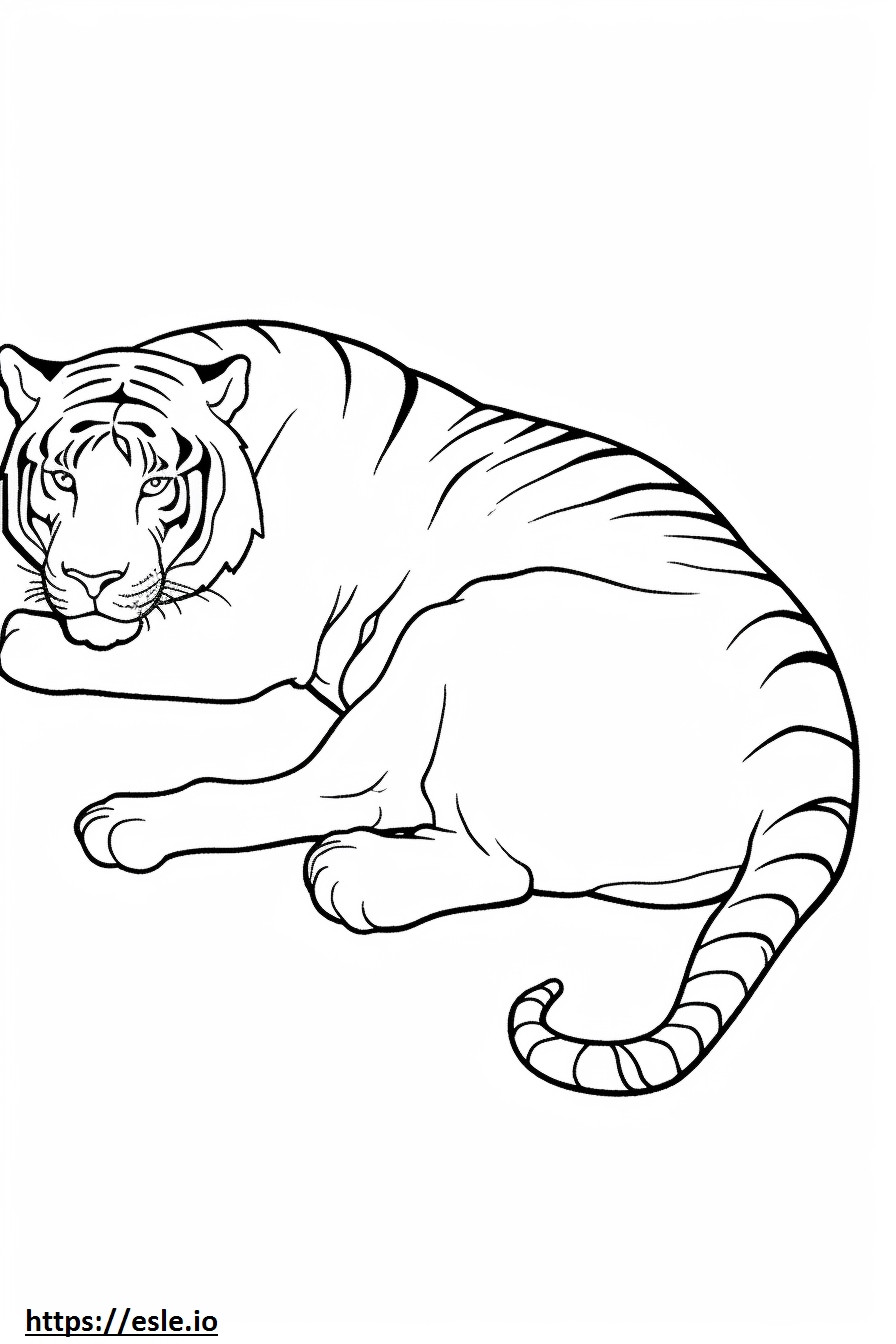 Tigre de Bengala durmiendo para colorear e imprimir