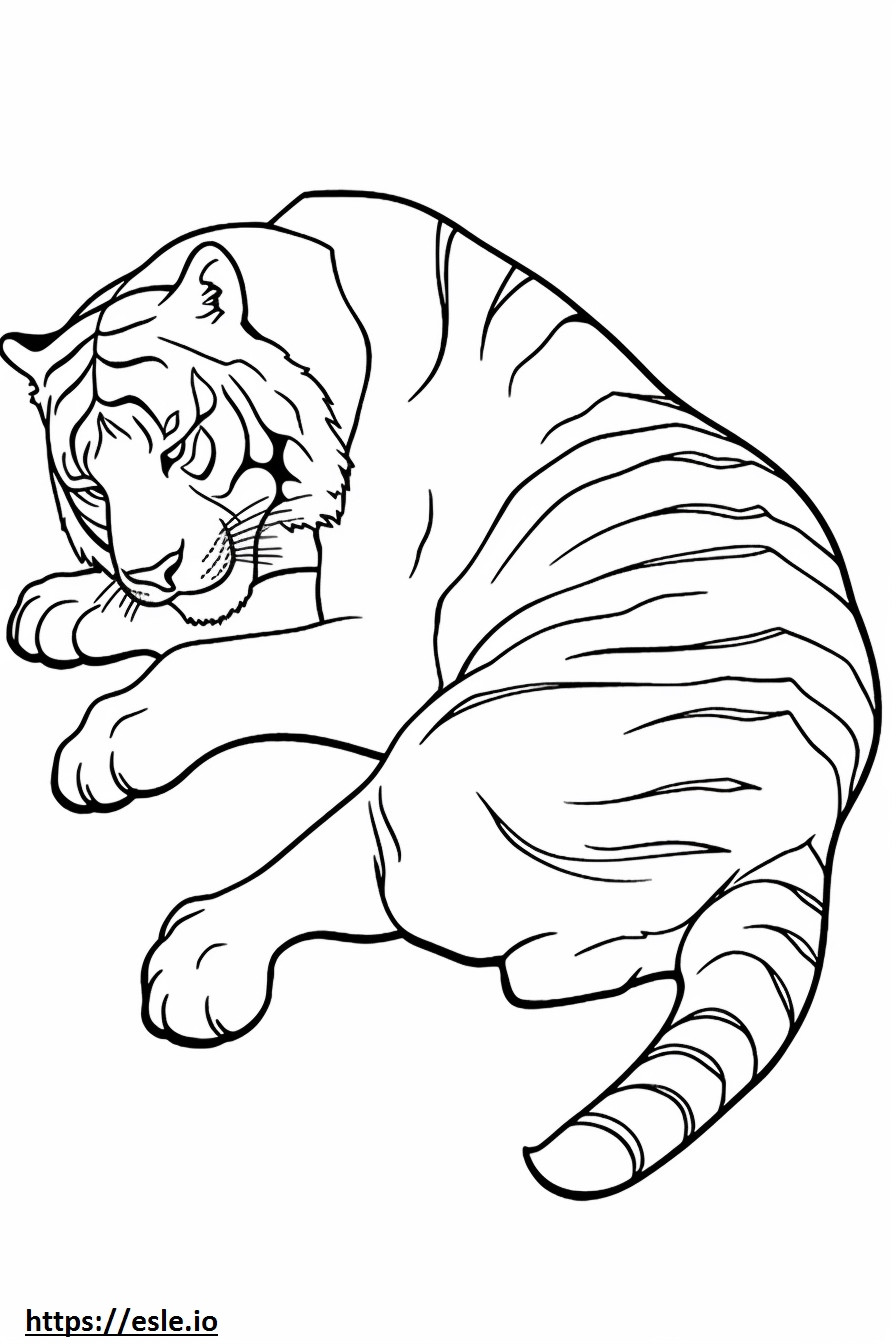 Bengaalse tijger slaapt kleurplaat kleurplaat