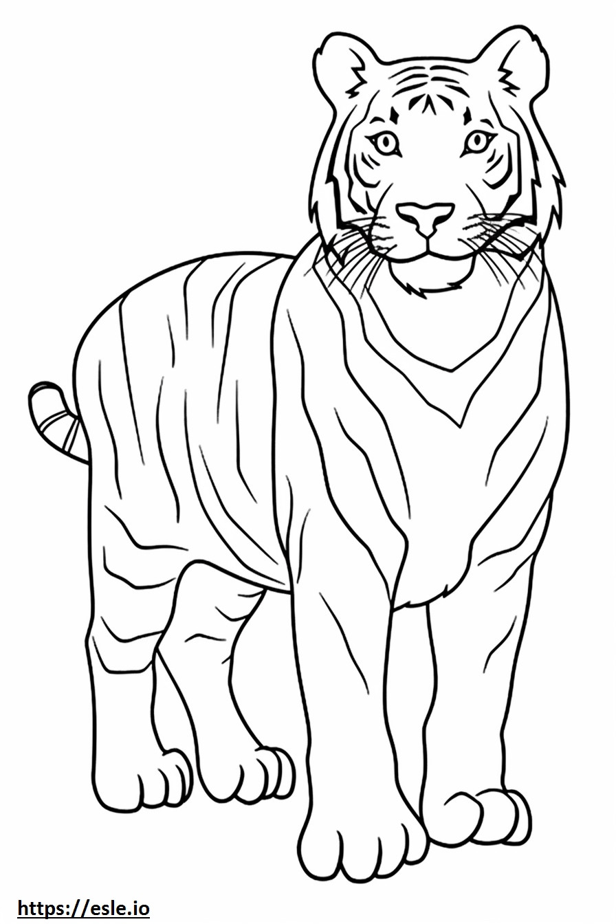 Tigre de Bengala fofo para colorir