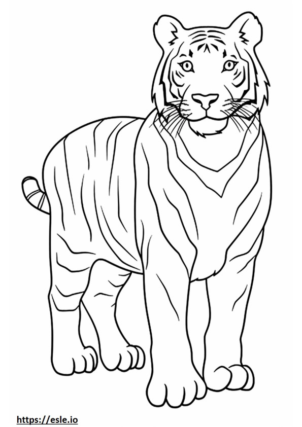 Bengalischer Tiger süß ausmalbild