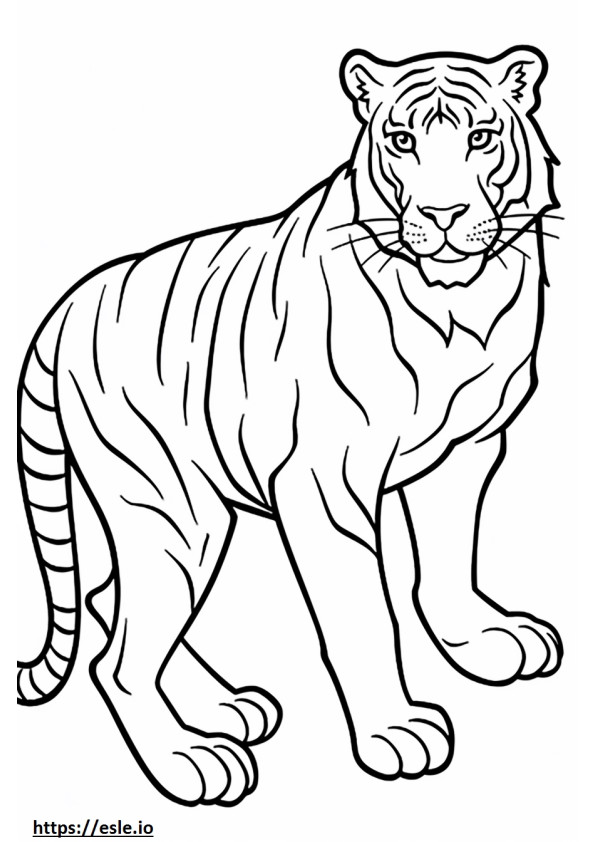 Bengalischer Tiger spielt ausmalbild