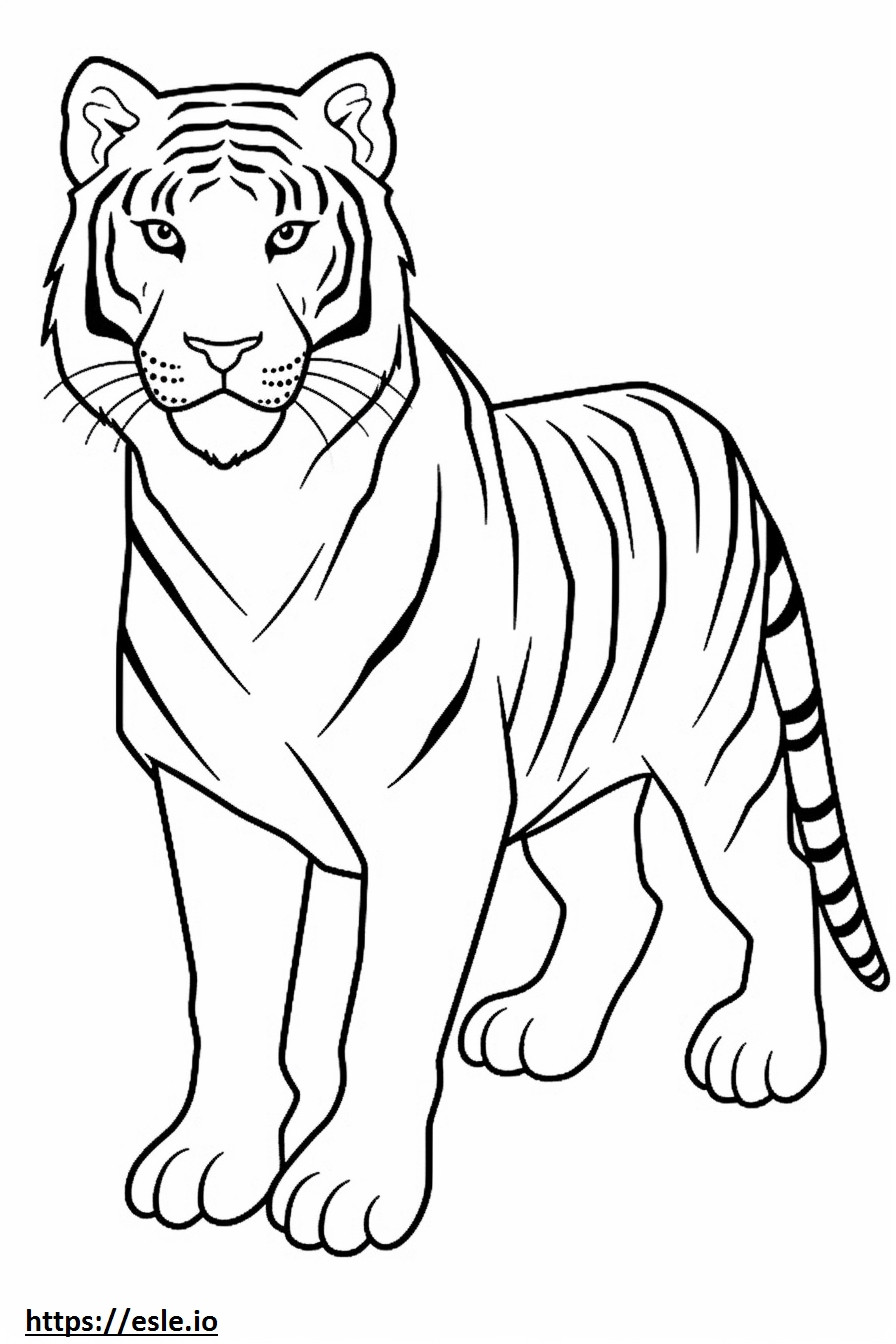 Harimau Bengal lucu gambar mewarnai