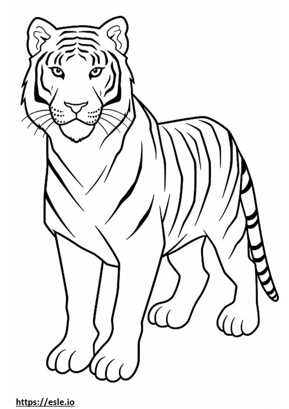 tigre de bengala lindo para colorear e imprimir