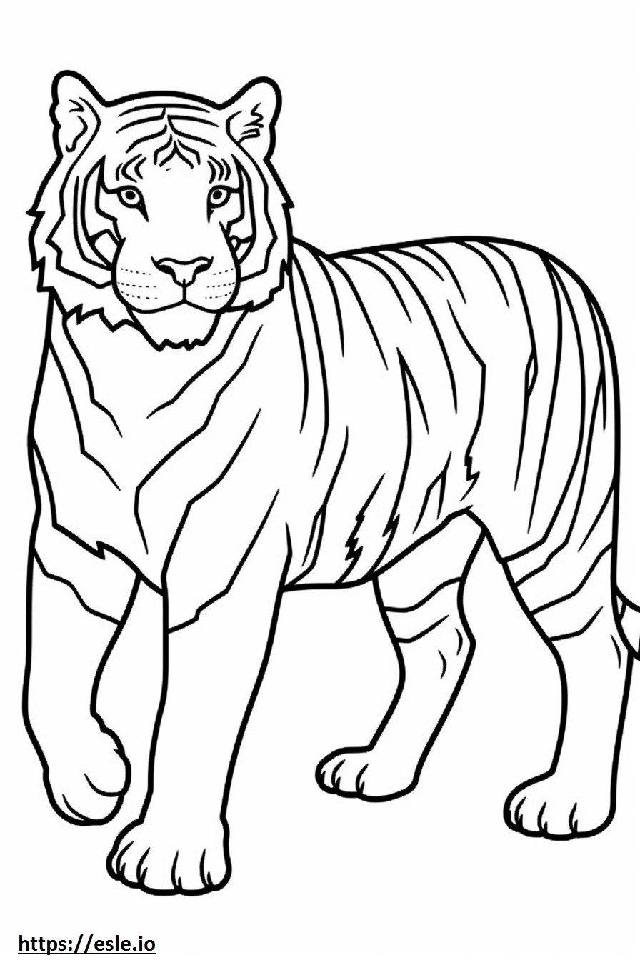 Bengal Tiger Playing coloring page