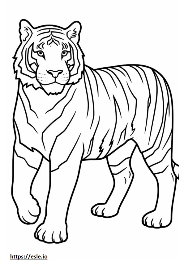 Tigrul bengal jucând de colorat