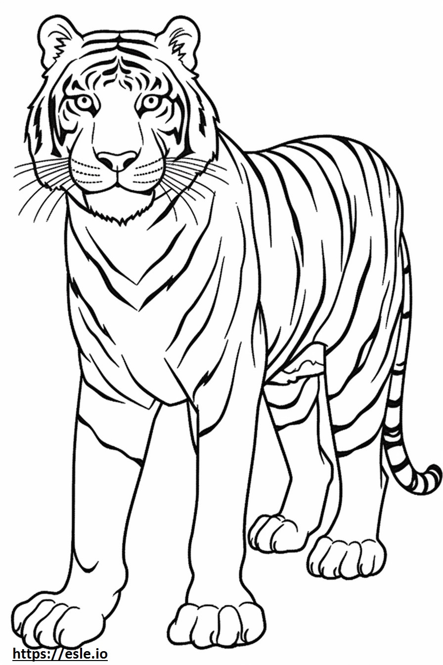 Bengalischer Tiger süß ausmalbild