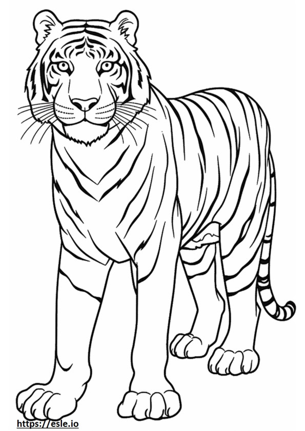 tigre de bengala lindo para colorear e imprimir
