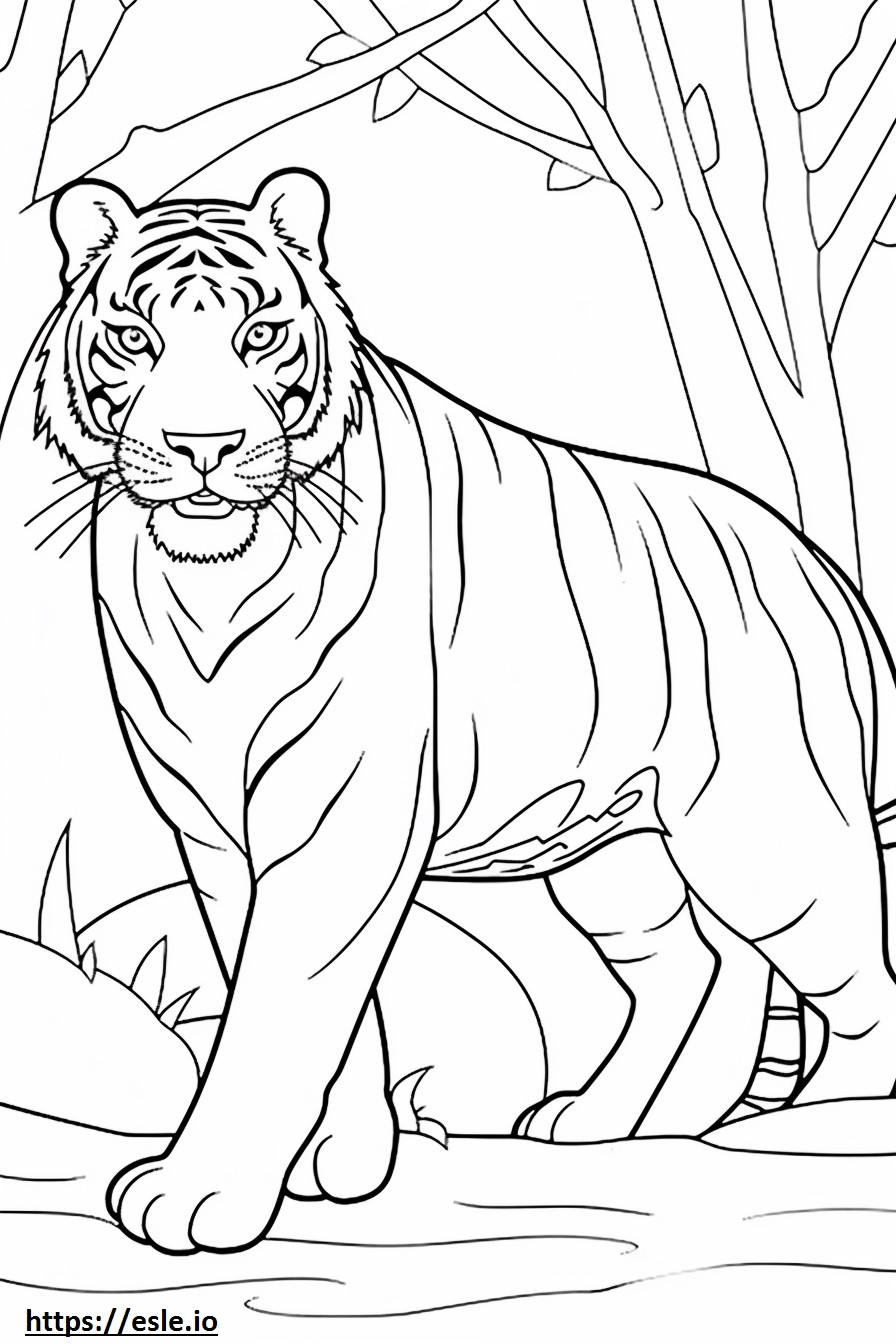 Bengal Tiger Playing coloring page