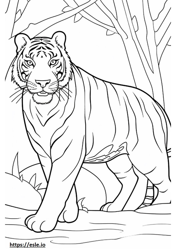 Bengalischer Tiger spielt ausmalbild