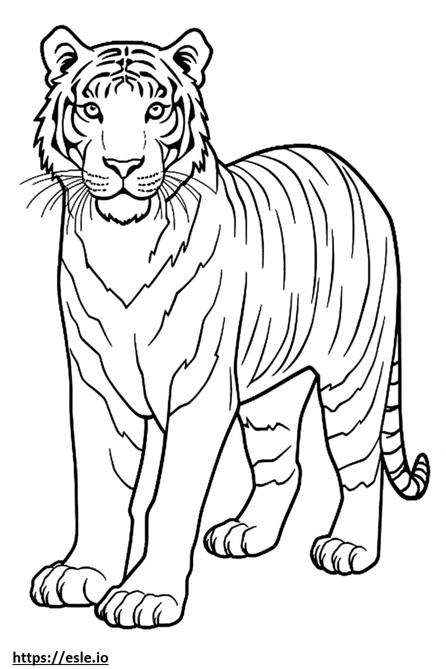 Bengal Tiger cute coloring page