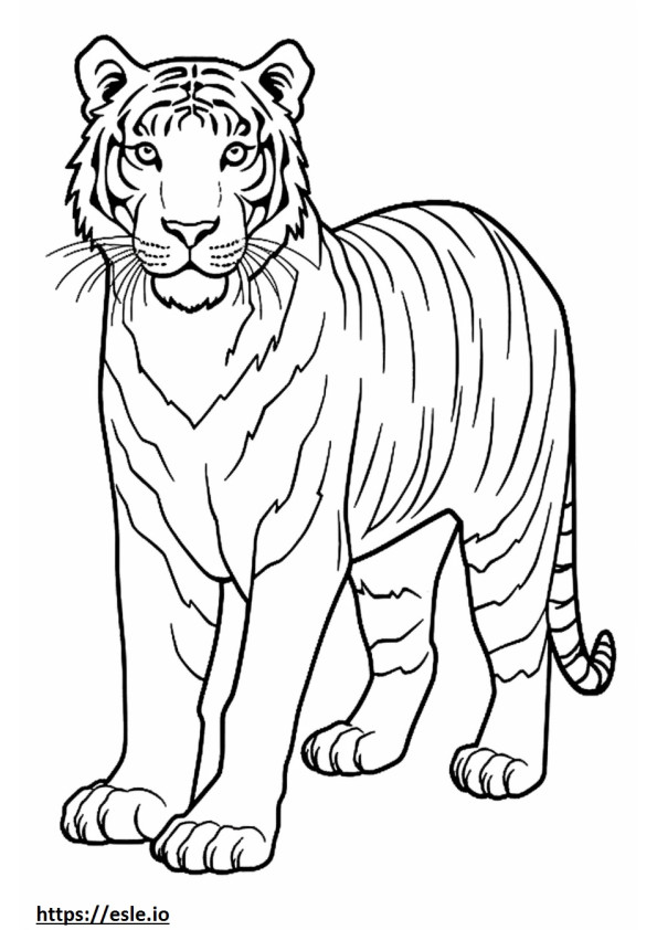 Coloriage Tigre du Bengale mignon à imprimer