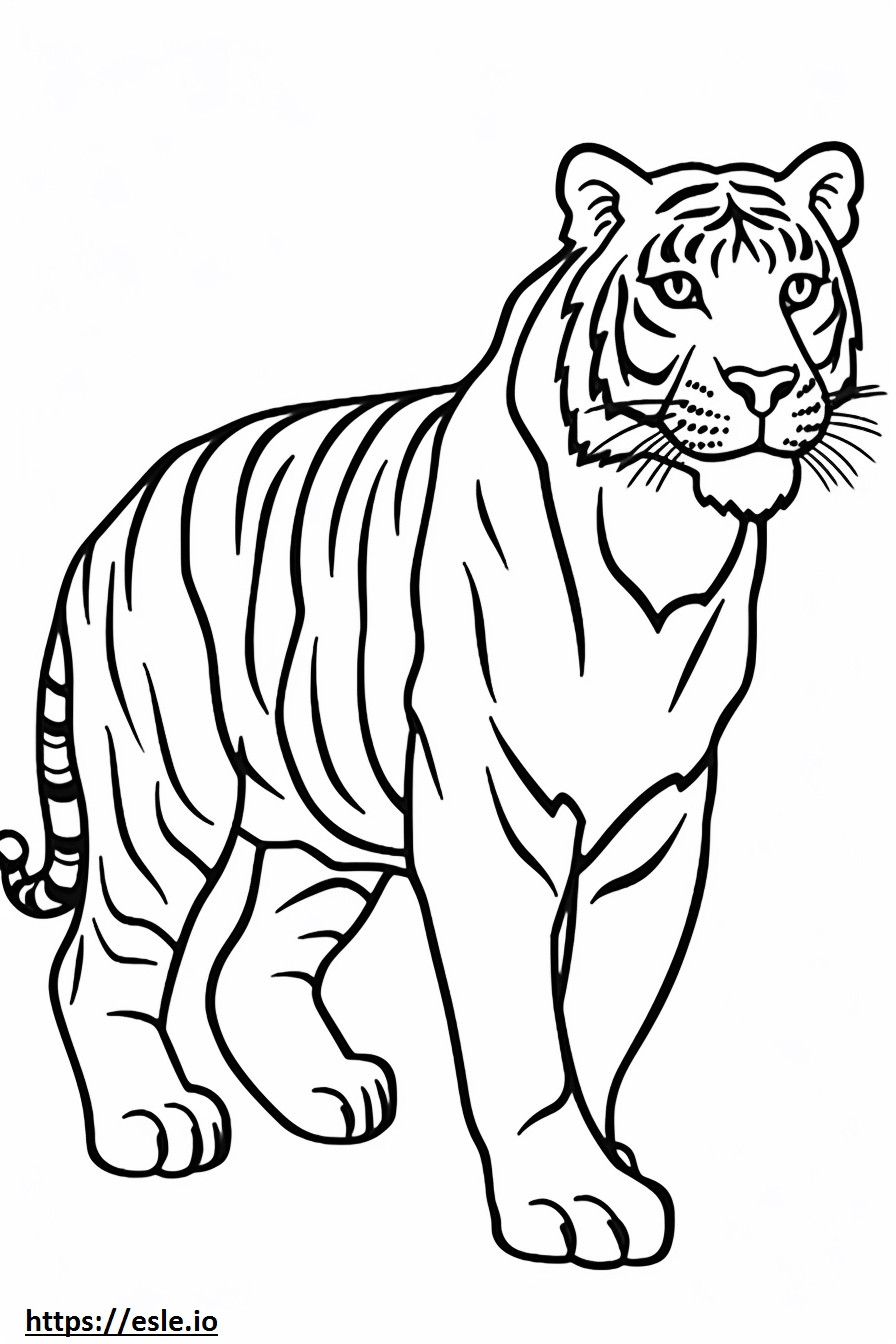 Bengal Tiger Friendly coloring page