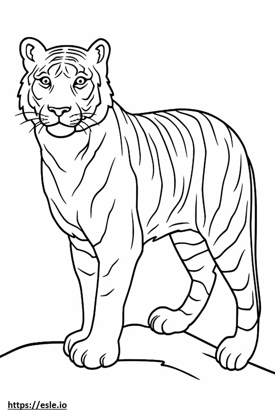 Coloriage Tigre du Bengale amical à imprimer