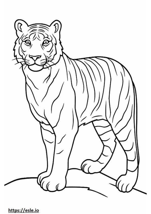 Amigable con el tigre de Bengala para colorear e imprimir