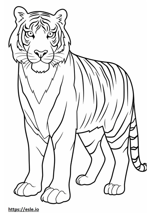Amichevole con la tigre del Bengala da colorare