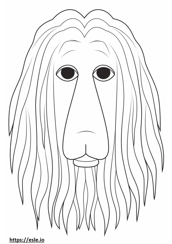 Bergamasco face coloring page