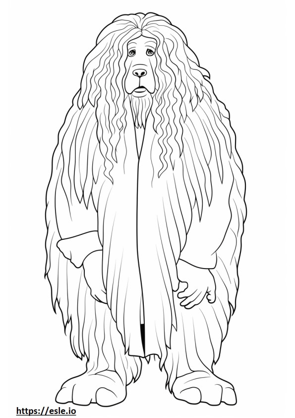 Bergamasco full body coloring page