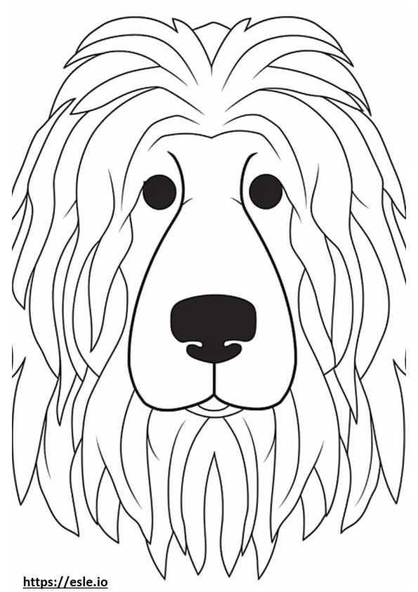 Bergamasco face coloring page