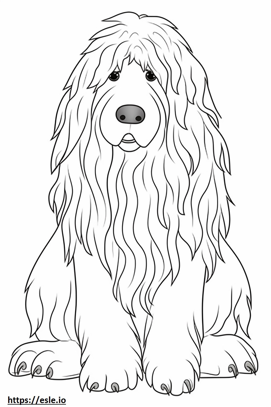 Bergamasco cute coloring page