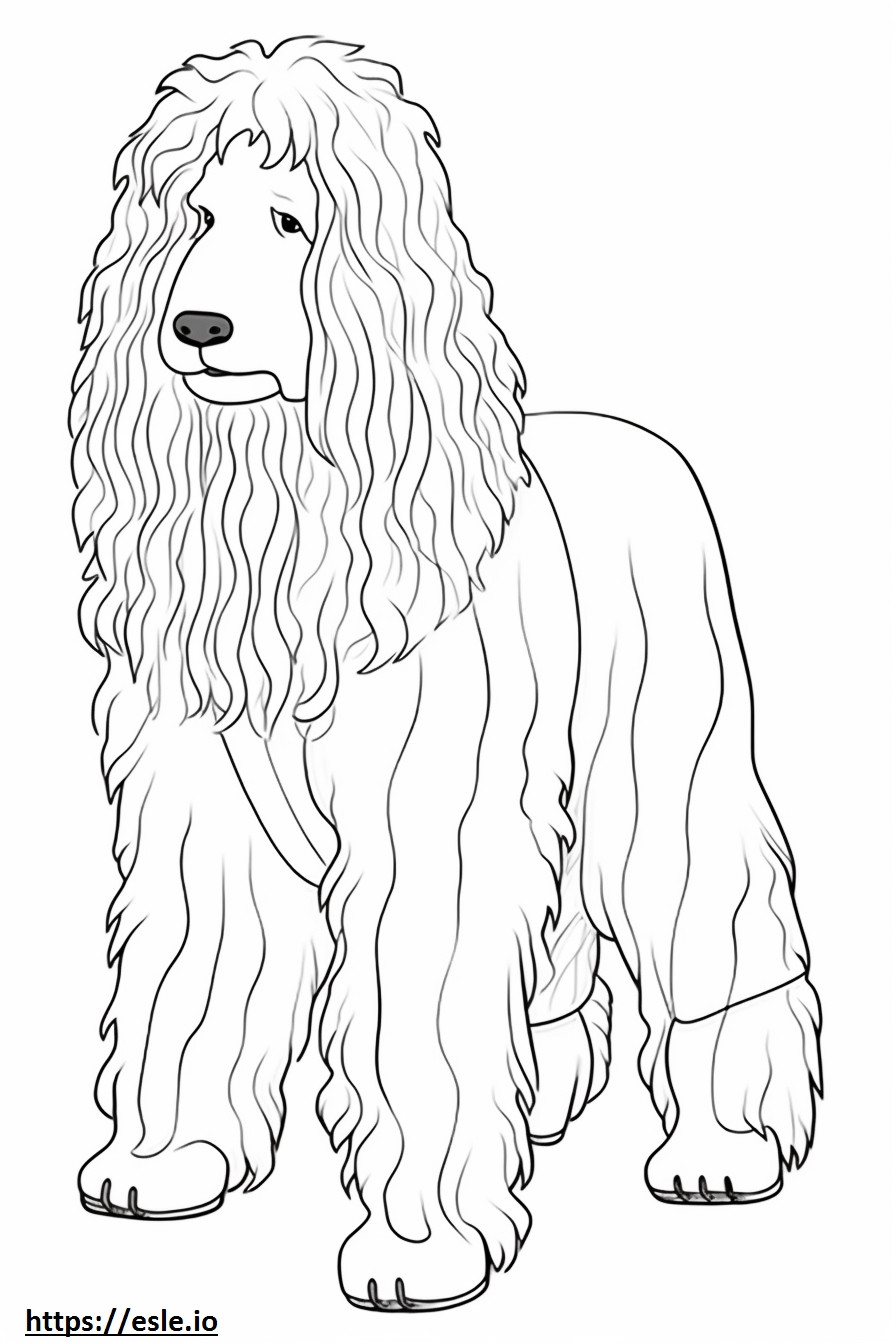 Bergamasco Playing coloring page