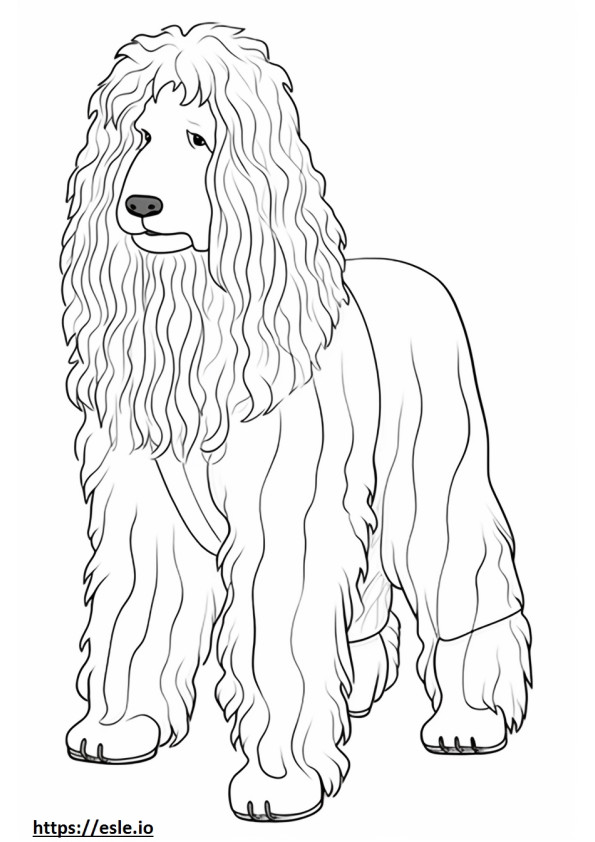 Bergamasco Playing coloring page