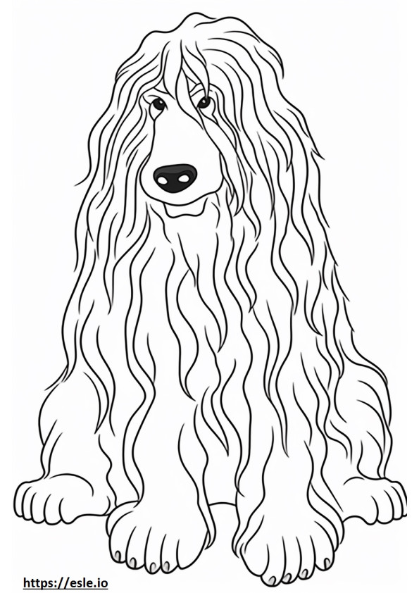 Bergamasco Friendly coloring page