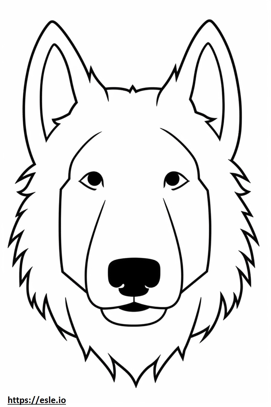 Berger Picard face coloring page