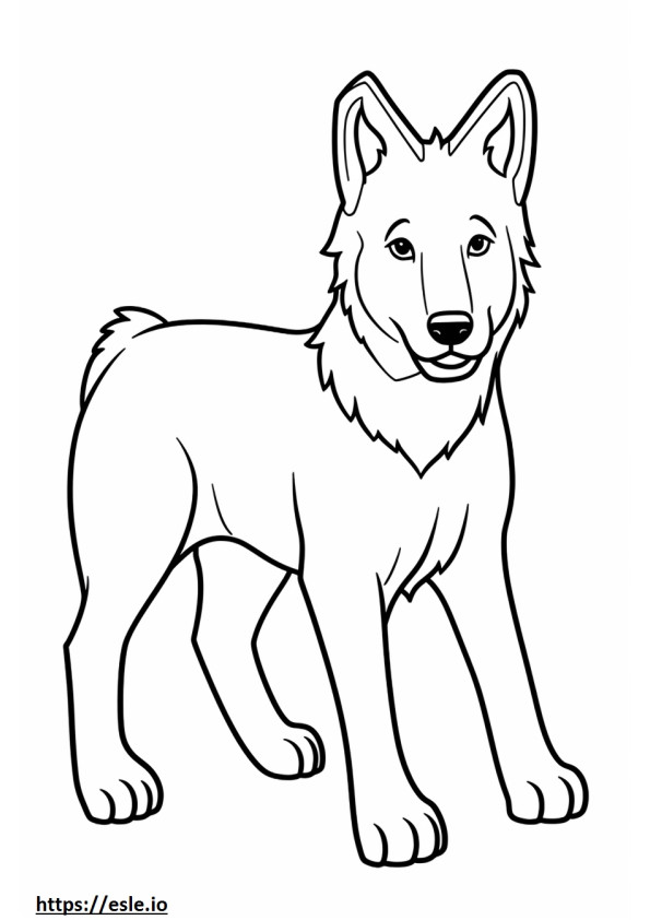 Berger Picard baby coloring page