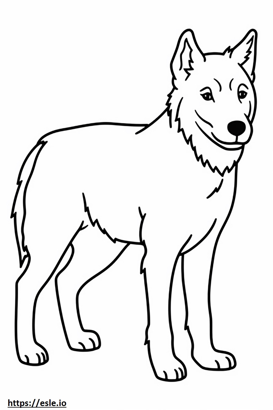 Berger Picard baby coloring page