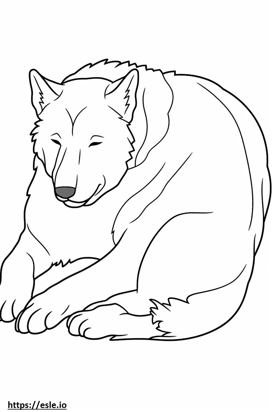 Berger Picard Sleeping coloring page
