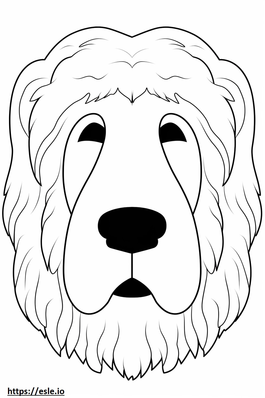 Bernedoodle face coloring page