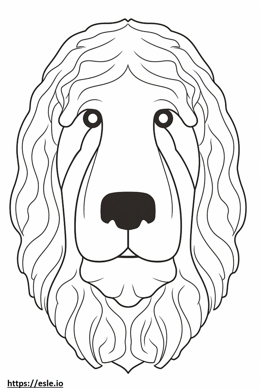 Bernedoodle face coloring page